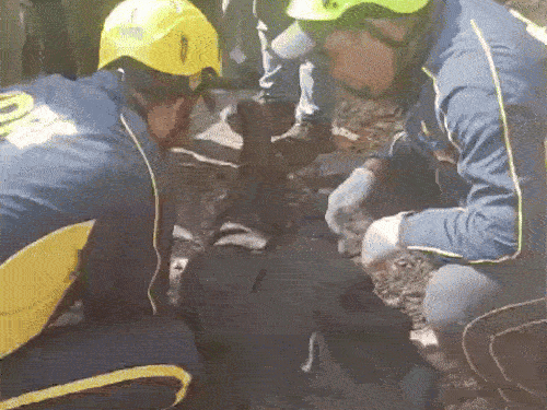 SDRF ने शवों को बाहर निकाला।