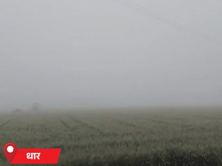 मौसम बदलने से ठंडी बढ़ गई है। सुबह से कोहरा छाया हुआ है।