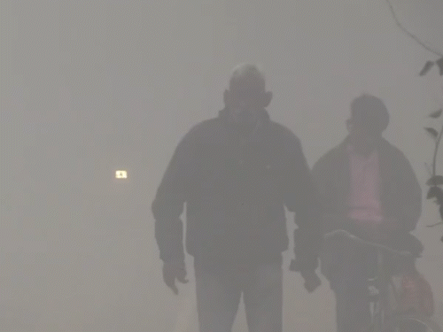 यूपी के अलीगढ़ में घना कोहरा रहा, विजिबिलिटी जीरो रही।