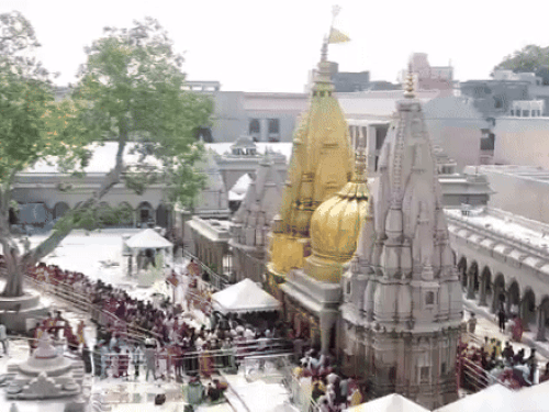 स्पोर्श दर्शन पर रहेगा रोक।