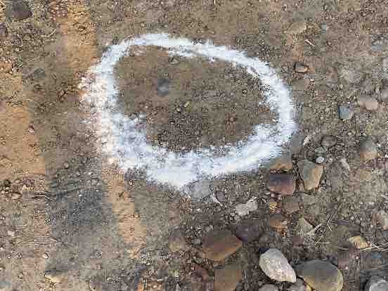 पुलिस मामले की जांच में जुटी