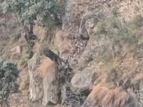 Udhampur Terrorist Encounter Photos Update; Kashmir Police CRPF CIF | Operation Kiya