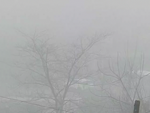 हिमाचल के बिलासपुर में बुधवार सुबह के वक्त घना कोहरा छाया रहा। विजिबिलिटी 50 मीटर से कम रही।