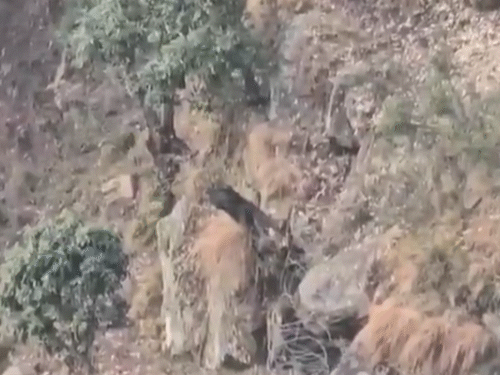 दोनों आतंकी गुफा से छिपकर फायरिंग कर रहे थे।