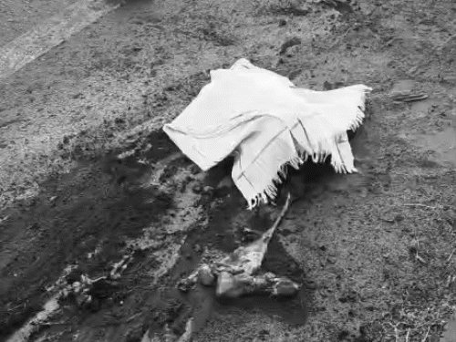 Garabandi Youth Death | 3 Killed in Road Accident Near Raipur 4 रायपुर में एक भारी ट्रक की मोटरसाइकिल सवारों से टक्कर हो गई। हादसे में तीन लोगों की मौत हो गई। शरीर के टुकड़े-टुकड़े हो गए थे।