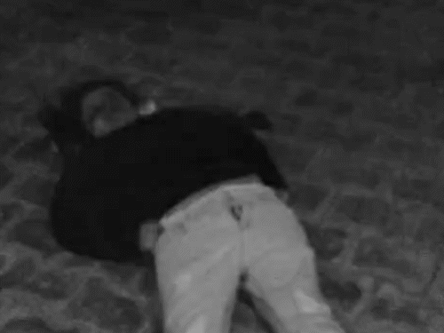 रात 2 बजे तीनों बहनें हाथ पकड़कर बालकनी से कूद गईं। थोड़ी देर बाद उनकी मौत हो गई।