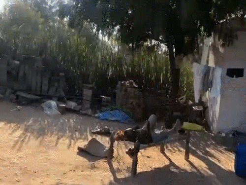 एनसीबी ने बड़ी मात्रा में मौके से अवैध मादक पदार्थ जब्त किया है।