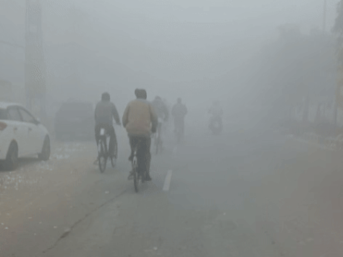 पानीपत में छाया घना कोहरा।