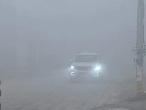 सोनीपत में घना कोहरा छाया। यहां विजिबिलिटी जीरो से 5 मीटर है।