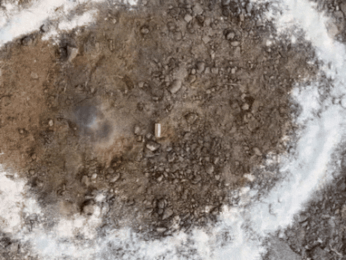 जमीन पर कारतूस के खोखे। - Dainik Bhaskar