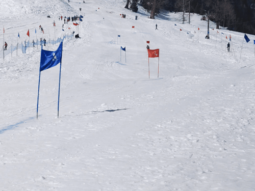 प्रतियोगिता में प्रदर्शन करते खिलाड़ी