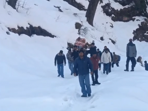 सराज में दो फीट बर्फ के बीच पैदल मरीज को अस्पताल ले जाते हुए ग्रामीण।