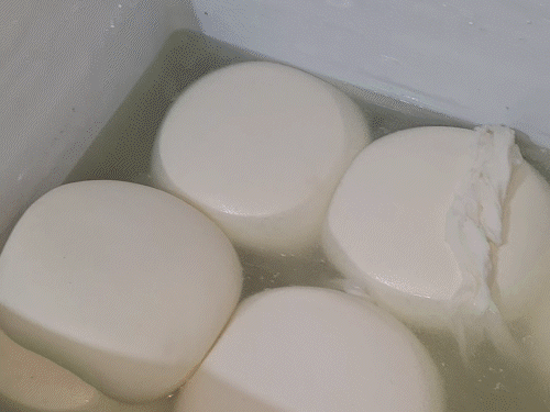 रायपुर में खाद्य विभाग ने शंकर नगर इलाके में एक नकली पनीर बनाने वाली फैक्ट्री पर छापा मारा।