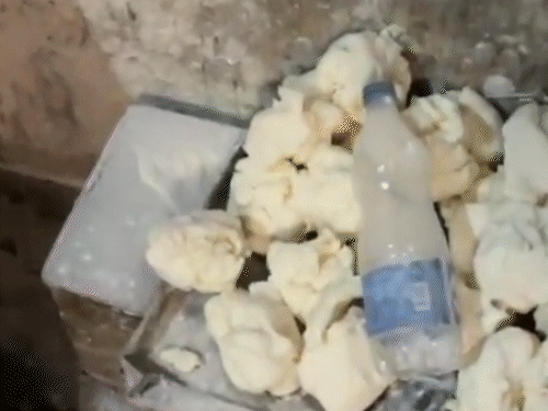 टीम जब पहुंची तो ब्रेड का डो जमीन पर खुला पड़ा था।