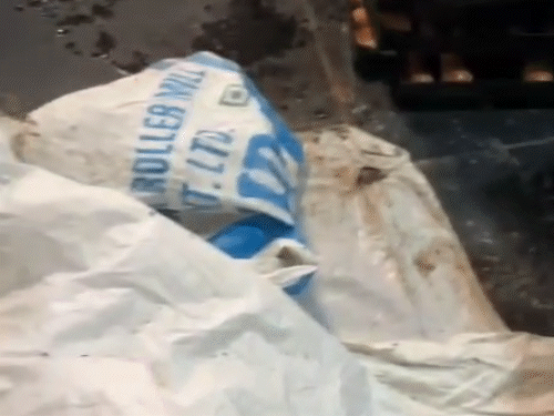 पूरे फैक्ट्री में हर तरफ मक्खियां भिनभिना रही थी।