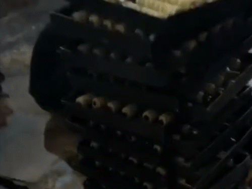 जांच के बाद फैक्ट्री सील कर सामान को नष्ट कर दिया गया है।