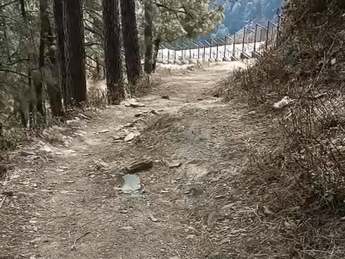 कैलाश मानसरोवर यात्रा का पैदल मार्ग जर्जर हालत में।