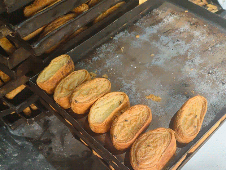 स्वास्थ्य विभाग की 6 सदस्यीय संयुक्त टीम जांच के लिए पहुंची थी। खारी टोस्ट पर भी मक्खियां मरी थी।