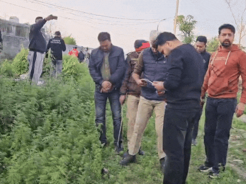 पुलिस मामले की जांच करती हुई।