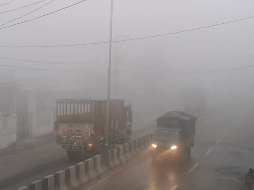 उत्तराखंड के हल्द्वानी में घना कोहरा छाया रहा।