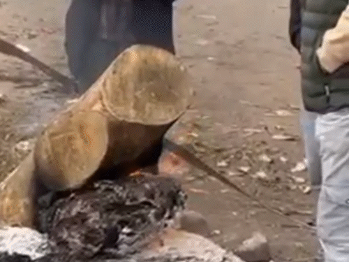 बिलासपूरमध्ये थंडीपासून वाचण्यासाठी शेकोटीवर उभे असलेले लोक.