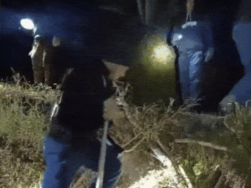 रातभर ग्रामीण और वन विभाग की टीम टॉर्च लेकर दक्ष को ढूंढती रही।