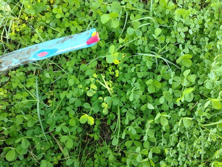 कटी हुई ट्यूबवेल मोटर की केबल।