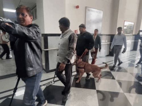 धमकी भरे मेल में लिखा है- 'आपके कोर्ट में 13 आरडीएक्स लगाएं गए है, जल्दी फटने वाले हैं।'