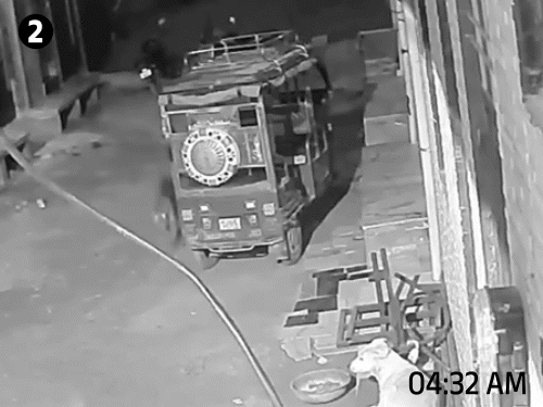 सूर्य सिटी कॉलोनी की गली में घूमता हुआ लेपर्ड, कुत्ते के पास गया। इसके बाद वह आगे निकल गया।