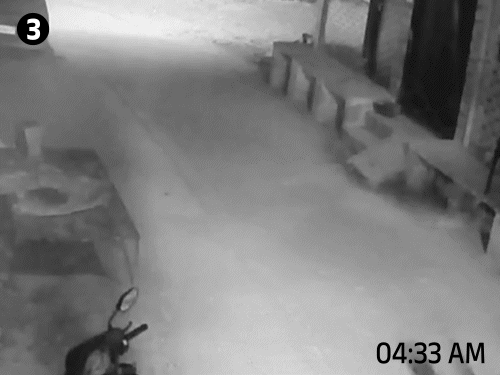 जयपुर के आगरा रोड स्थित सूर्य विहार कॉलोनी में लेपर्ड कुछ इस तरह गलियों में घूमता रहा था।