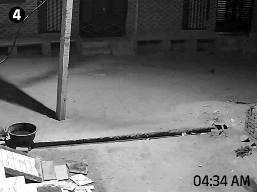 लेपर्ड जिस गली से घुसा था, उसी गली से वापस चला गया।