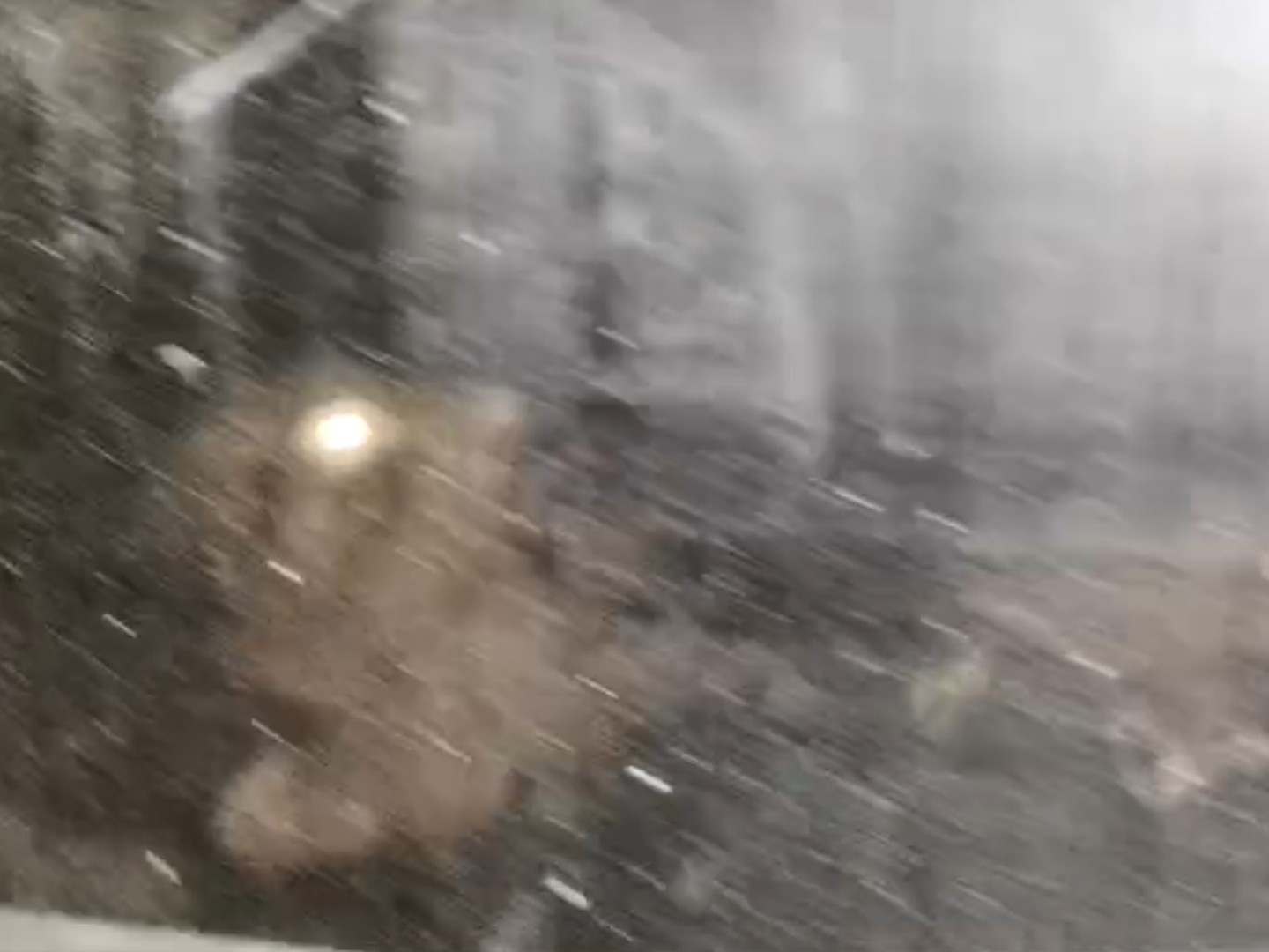 गरियाबंद से करीब 5 किलोमीटर मरीज की तबीयत बिगड़ी और उसने दम तोड़ दिया।