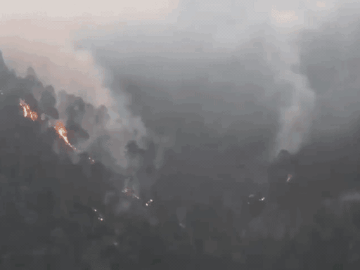 जनवरी में उत्तरकाशी के जंगल में आग धधकी।