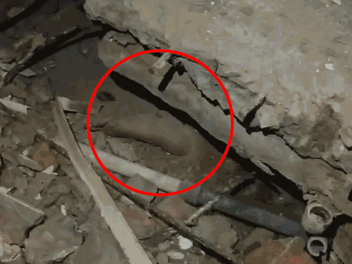 इमारत के मलबे में दबे व्यक्ति का पैर बाहर दिख रहा था।