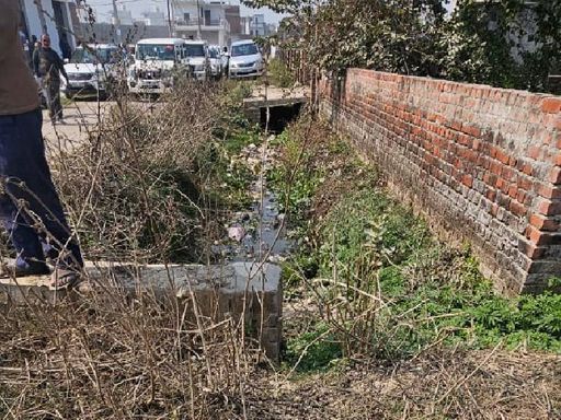 यह नाला है जिसका निर्माण होना है। इसी पर सुभासपा विधायक बेदीराम के कब्जा करने का आरोप है।