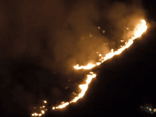 दिसंबर में नैनीताल की पहाड़ी पर लगी आग।