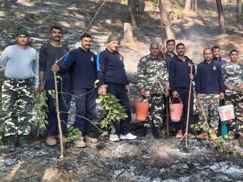 पिथौरागढ़ में जंगल की आग बुझाते कर्मचारी।