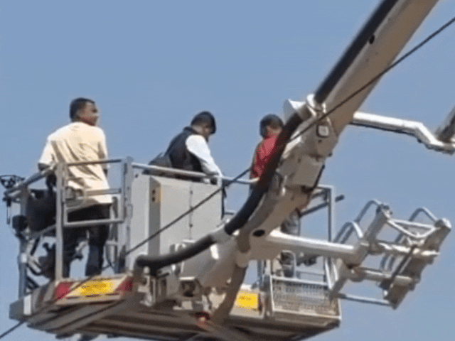 हाईमास्क लाइट में बाज करीब एक घंटे तक फंसा रहा।