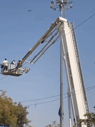 हाईमास्क लाइट में फंसे बाज को निकालने के लिए फायर ब्रिगेड टीम की क्रेन को बुलाया गया।