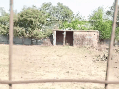 इसी जगह पर अब्दुल रहमान ने दो हैंडग्रेनेड के साथ ही डेटोनेटर छिपाए थे।