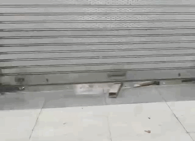 होलसेल किराना की शॉप में 27 जनवरी को चोरी की कोशिश के दौरान मौके पर चोरों के औजार मिले थे।