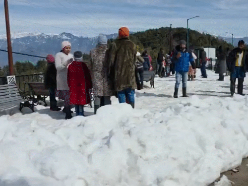 जम्मू कश्मीर के नथाटॉप में ताजा बर्फबारी हुई।