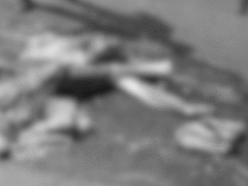 ट्रेलर की टक्कर से महिला की मौके पर ही मौत हो गई।