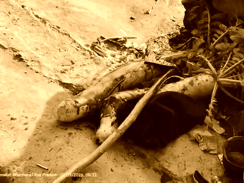 बरामद में ही सब्जियों के पास खून से सनी कुल्हाड़ी भी बरामद हुई।