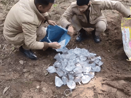 video2026 02 0919 00 18 ezgifcom resize 1770644232