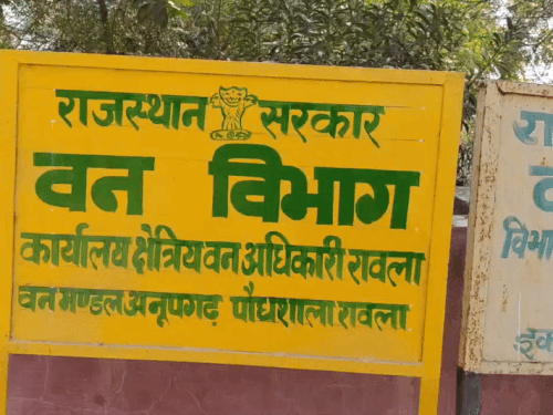 रावला में वन विभाग के दो कर्मचारियों को निलंबित कर दिया गया है।
