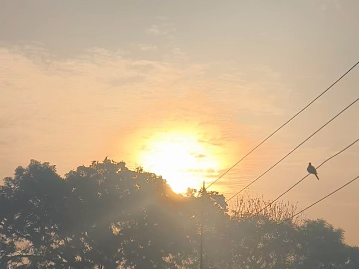 Mathura Cold Wave Continues, Temp 10°C | Weather Update