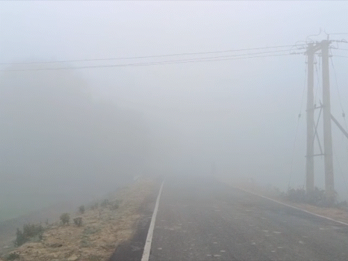 मधुबनी में सुबह-सुबह घना कोहरा छाया, विजिबिलिटी जीरो रही।