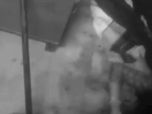 इसी गंडासे से पत्नी की गर्दन पर वार किए।