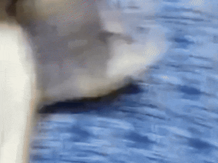 वीडियो में गांजा और स्मैक की पुड़िया के साथ तौल मशीन भी दिख रही है।